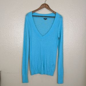Express V-neck Sweater